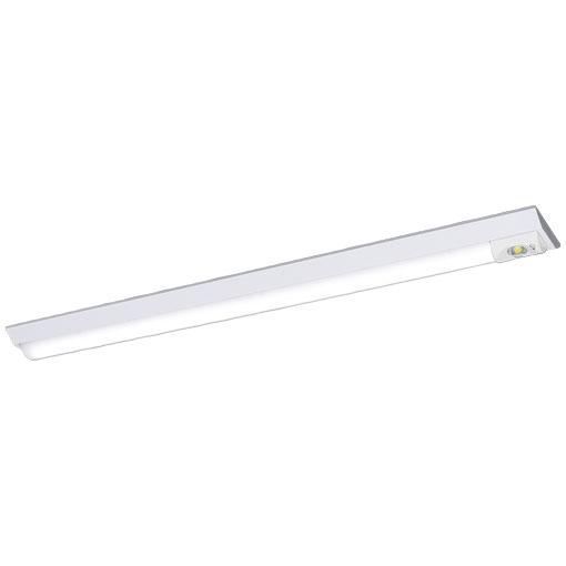 岩崎電気 非常用照明器具 ELBV4111 レディオック LEDベースライト 非常用照明器具 器具本体 （LEDユニット一体形）