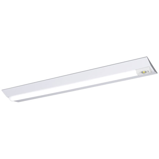 岩崎電気 非常用照明器具 ELBV4211  レディオック LEDベースライト 非常用照明器具 器具本体 （LEDユニット一体形）