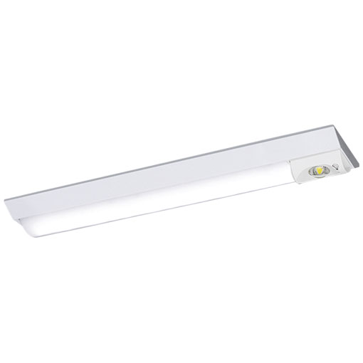 岩崎電気  ELAV2111  レディオック LEDベースライト 非常用照明器具 器具本体 （LEDユニット一体形）