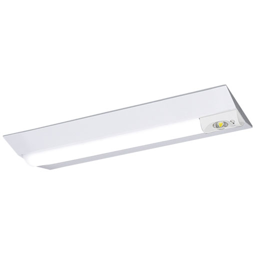 岩崎電気  ELAV2211  レディオック LEDベースライト 非常用照明器具 器具本体 （LEDユニット一体形）