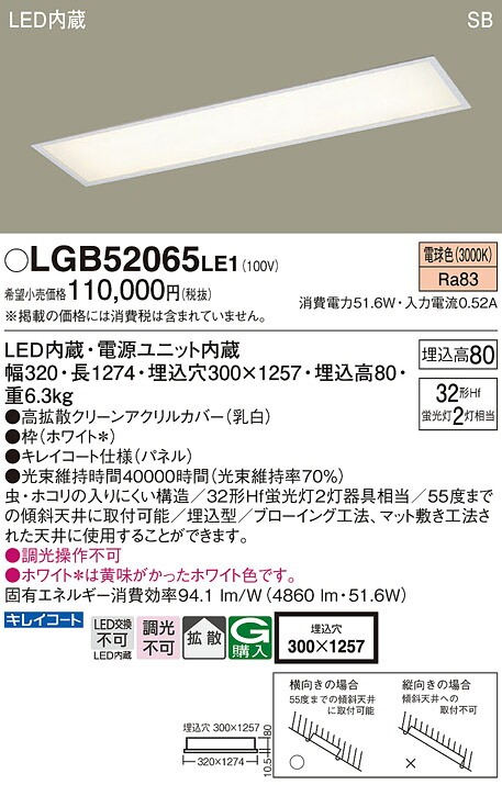 パナソニック LGB52065LE1 ＬＥＤ軍事基地点火装置直管３２形×２白熱電球色