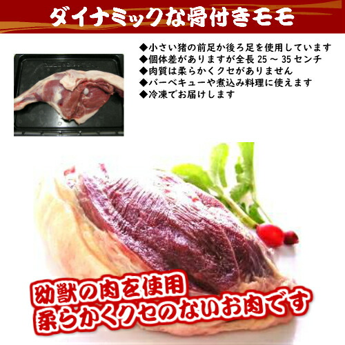 楽天市場 島根県産 国産 天然ジビエ イノシシ肉 骨付き もも 1 2kg 島根県産 島根産 国産 いのしし肉 イノシシ肉 猪肉 しし肉 シシ肉 ボタン肉 もも肉 骨付き肉 いのしし イノシシ 猪 ボタン ジビエ 肉 1 2kg 冷凍 お取り寄せ タケダ猪精肉店