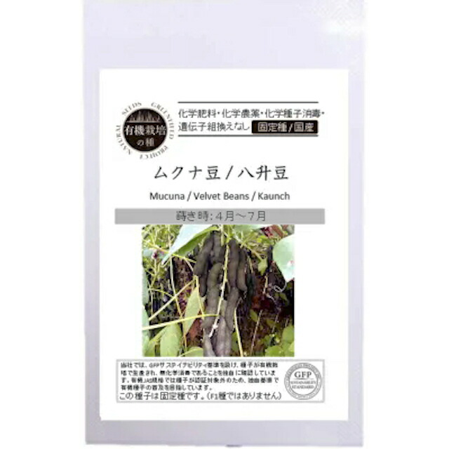 楽天市場】国産・有機栽培種子ムクナ豆 / 八升豆の種10粒 : 人と地球に