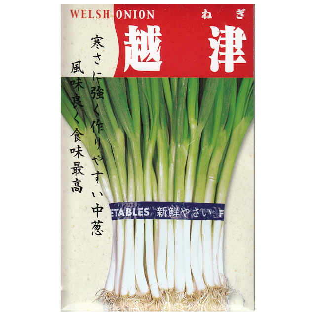 ネギ　関羽　5000粒　有効期限9月 ネギ 関羽 5000粒 有効期限8月 ネギ 関羽 5000粒 有効期限8月 関羽一