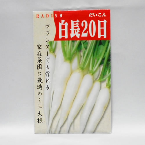 楽天市場 在来種 固定種 野菜のタネ 白長日大根 ミニ大根 5ml 約340粒 畑懐 はふう の種 メール便可 冷えとりとやさしい暮らしてくてく