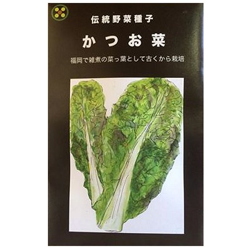 楽天市場 在来種 固定種 野菜のタネ かつお菜5ml 約1400粒 畑懐 はふう の種 メール便可 冷えとりとやさしい暮らしてくてく