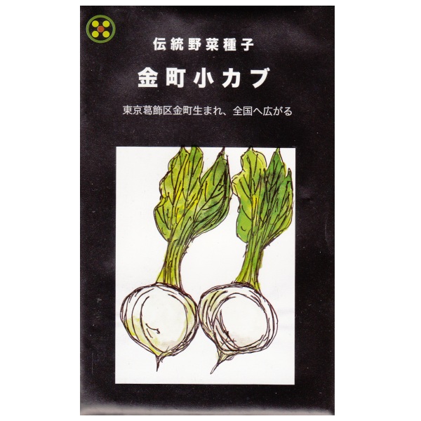 楽天市場 在来種 固定種 野菜のタネ 金町小カブ5ml 約10粒 畑懐 はふう の種 メール便可 冷えとりとやさしい暮らしてくてく