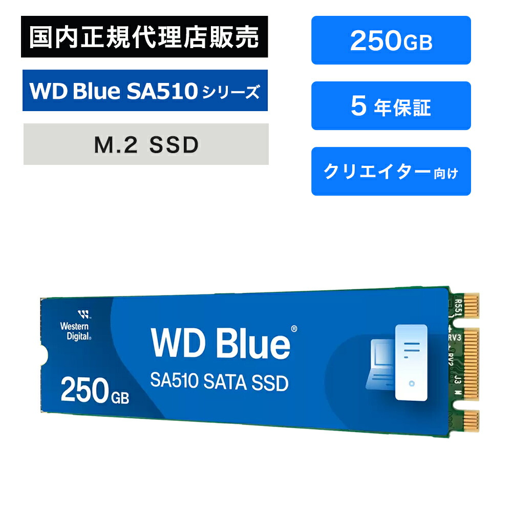 楽天市場】SanDisk (サンディスク) WD Blue SA510 SSD 1TB 内蔵