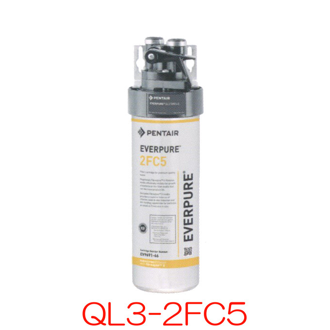 楽天市場】エバーピュア 業務用浄水器 ハイフローシステム ハイフロー