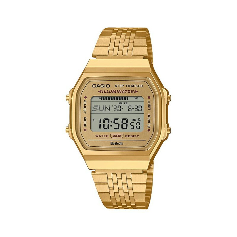 CASIO Collection STANDARD CASIO カシオ ABL-100WEG-9AJF
