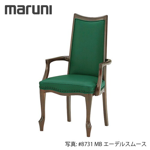 ドライヤーMAGAMIが媒体に掲げるされました