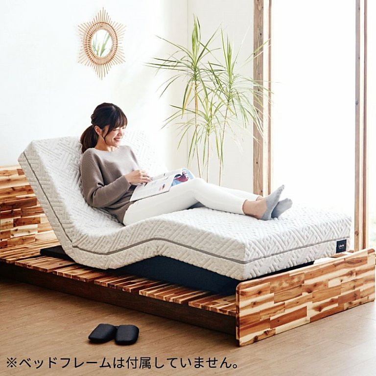 Literie モーションマットレス セミダブルサイズ Sd 厚5cm リテリー 株式会社モーブル 送料無料 沖縄県 離島 遠隔地を除く Mpgbooks Com