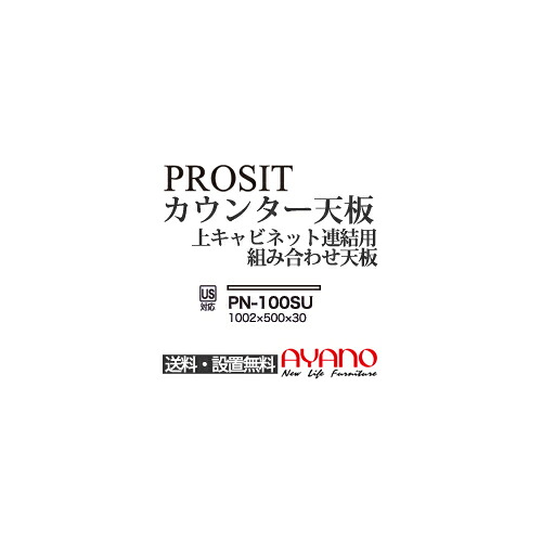 【関東送料無料】綾野製作所 / ユニット式食器棚 PROSIT プロージット / カウンター天板 奥深 / PN-100SU【代引き不可】