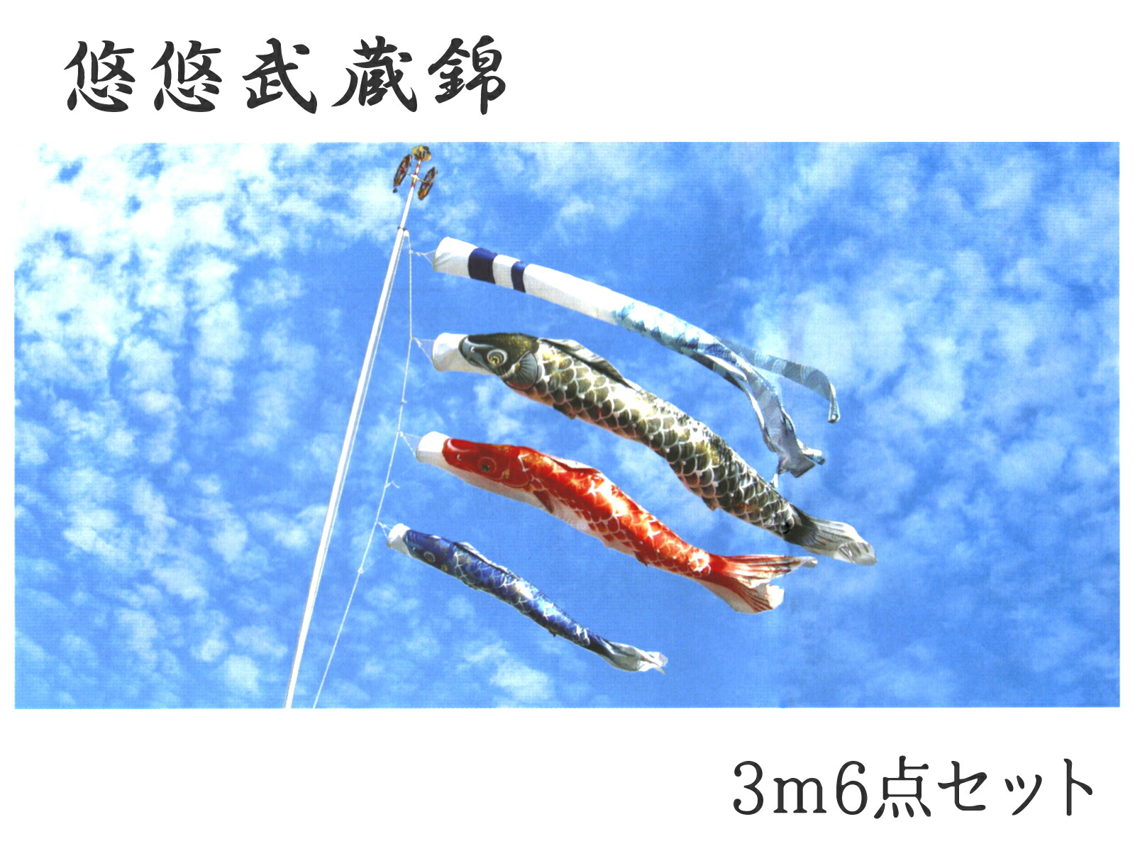 すぐったレディース福袋こいのぼり 悠悠武蔵錦 3m6点セット ポリエステルサテン 撥水加工 2020年鯉のぼり EU0036MS 紋入れ 名入れ可 別途料金 本州以外は送料サイズA加算日本テレフォンショッピング