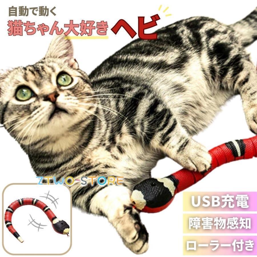 ヘビと猫 imgrc0094879716.jpg