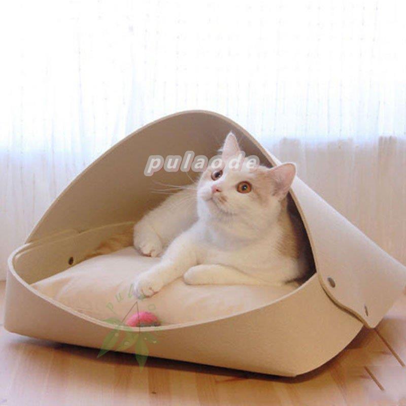 ☆きぬ猫ページ☆ 81d6ZmyLRCL._UF350,350_QL80_.jpg