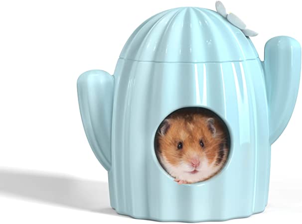 ハムスター (インテリア) Amazon.co.jp: KnocKconK ハムスター ミニベッド プラスチック
