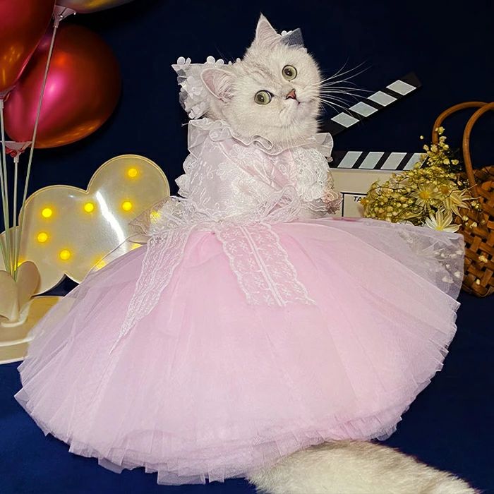 ウェディ 猫 洋服 挙式 結婚式 フォーマル ワンピ ウェディング キャットウェア ドッグウェア 犬服 ウェディングドレス 犬服猫服
