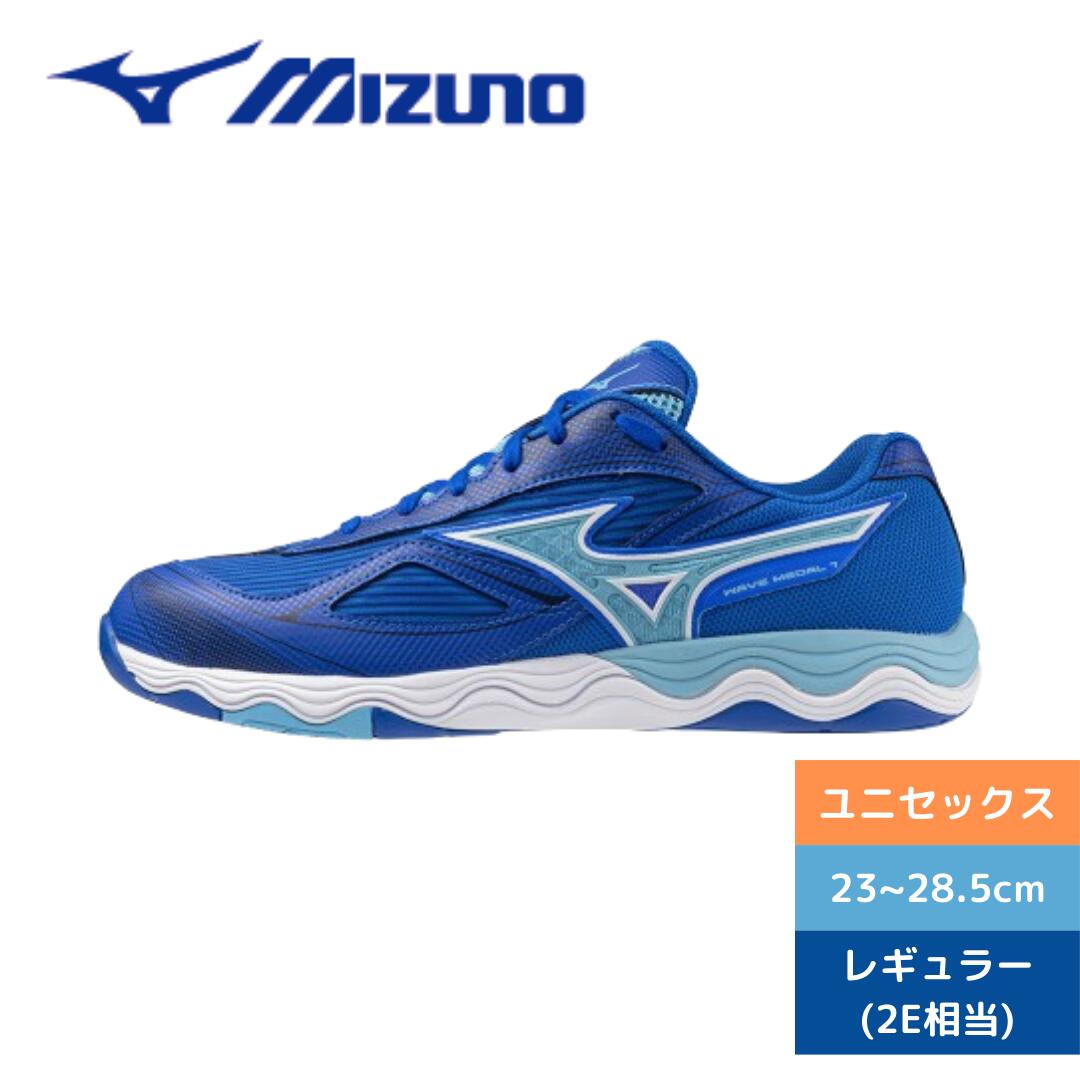 楽天市場】ミズノ MIZUNO 卓球シューズ メンズ レディース ウエーブ