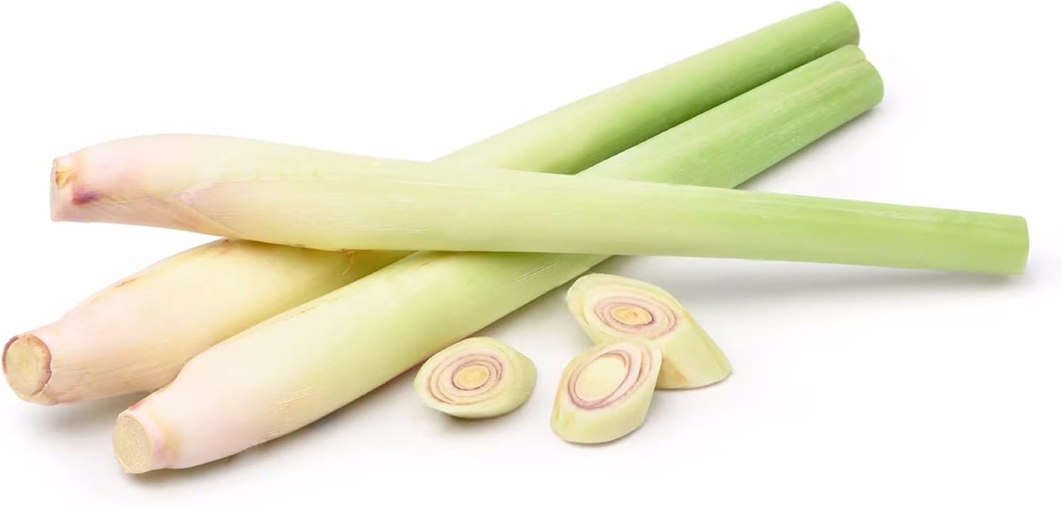 レモングラス 新鮮 500g ベトナム産 VIETNAM FRESH LEMONGRASS ハーブ 食材 エスニック料理・タイ料理・ベトナム料理用