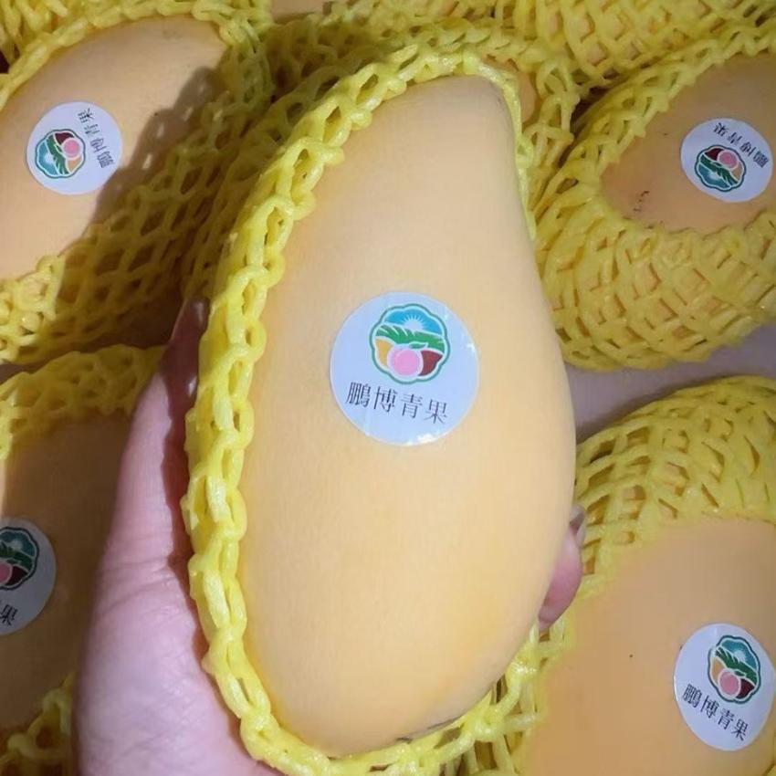 【送料無料】完熟タイ産 金マンゴー 4.5kg thai Mango 金芒果 厳選南国フルーツ お中元 父の日 贈答用果物 夏ギフト