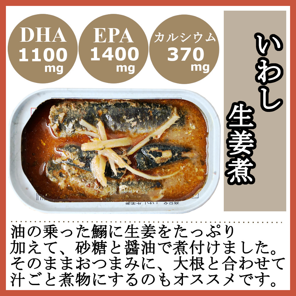 楽天市場 いわし 缶詰 生姜煮 100gx24缶 イワシ 鰯 缶詰め 業務用 まとめ買い 買い置き 備蓄 おつまみ 缶詰 アテ 酒の肴 おつまみセット 送料無料 ヘルシーマーケット