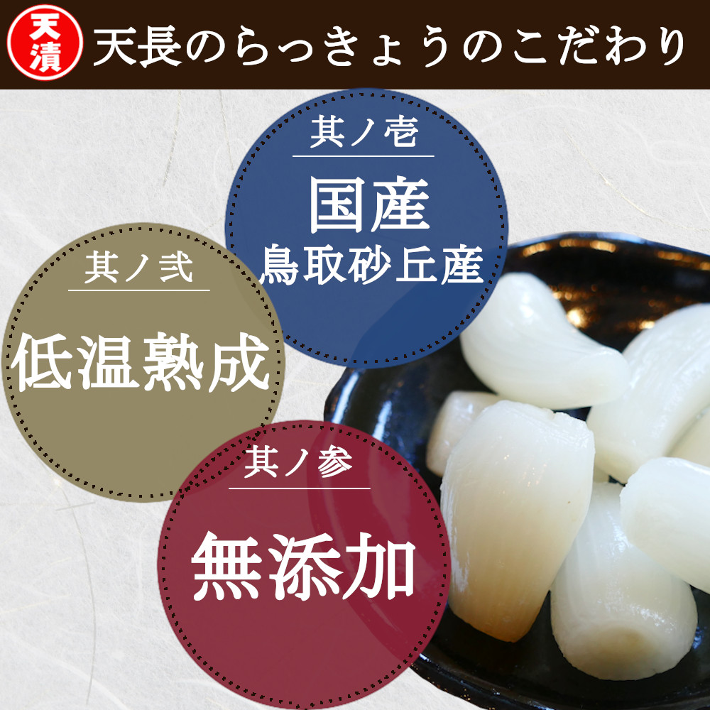 市場 ピリ辛らっきょう ふぞろい 低温熟成 国産 ラッキョウ漬け 190gx2袋 鳥取 無添加