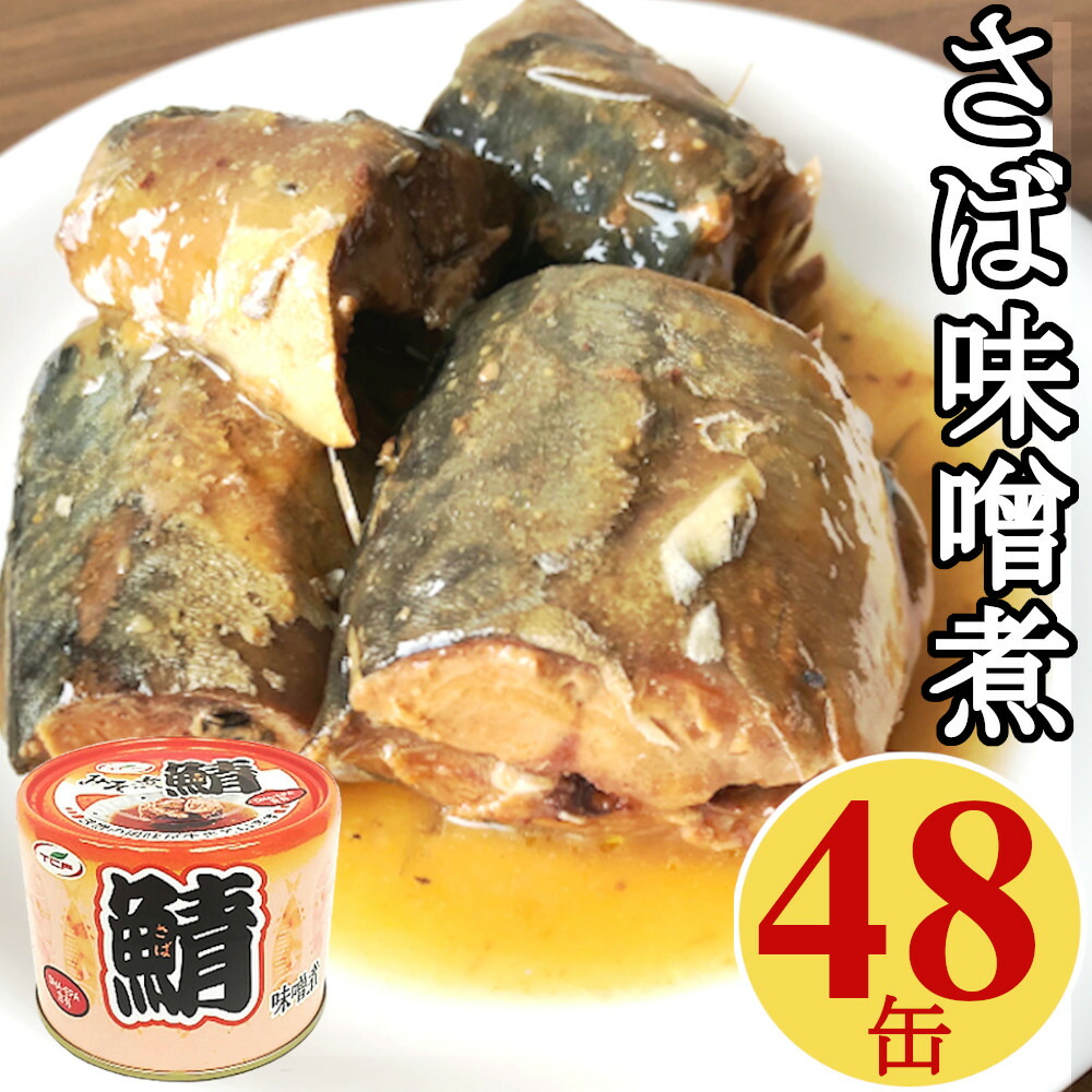 サバ缶 味噌煮 200gx48缶 鯖 さば 缶詰 さば缶 おつまみ アテ 酒の肴 業務用 おつまみセット まとめ買い【送料無料】