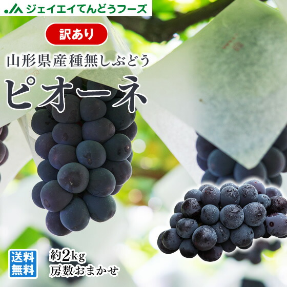 シロ葡萄様 ２点 まとめ商品 とろ～り濃密 贅沢かき氷シロップ メロン / 300g | 特集,季節