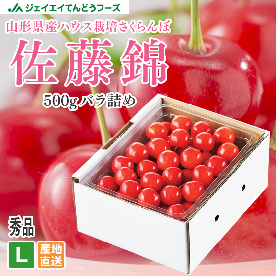 山形県産 ハウス栽培 佐藤錦 L玉サイズ バラ詰め 約500g 送料無料※一部地域別途送料 hc08