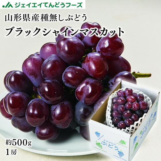 富士の輝き  富士の輝き ① 90サイズ 富士の輝き ① 90サイズ 新無処理CTP