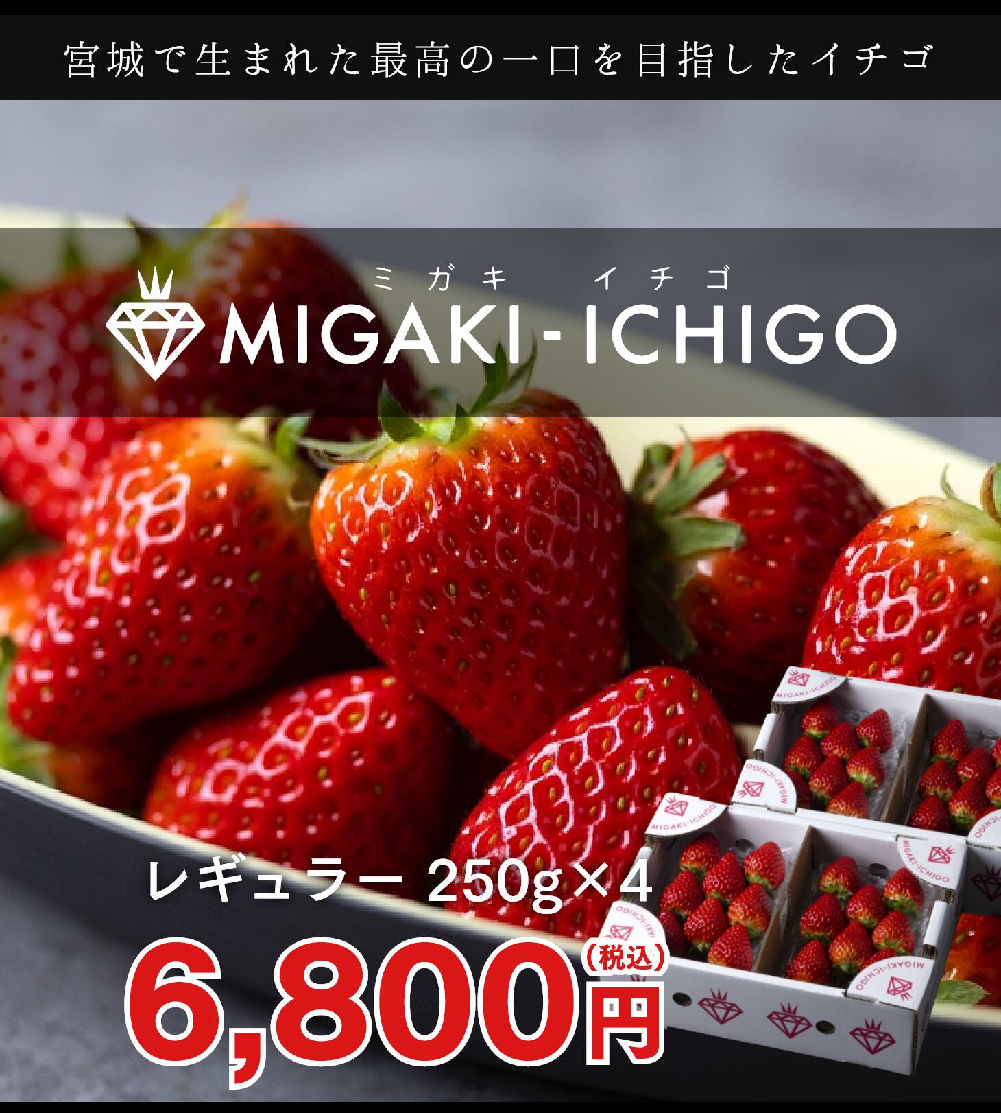 ギフト 贈り物 いちご ミガキイチゴ 宮城県産 レギュラーパック 4パック(約250g×4) 粒数おまかせ 送料無料