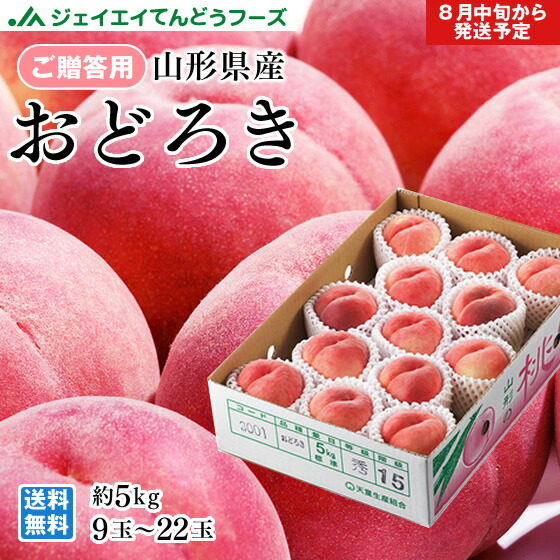 贈答用 桃 もも 山形県産 おどろき秀品 5kg（9～22玉）8月中旬～下旬より順次出荷 pc09