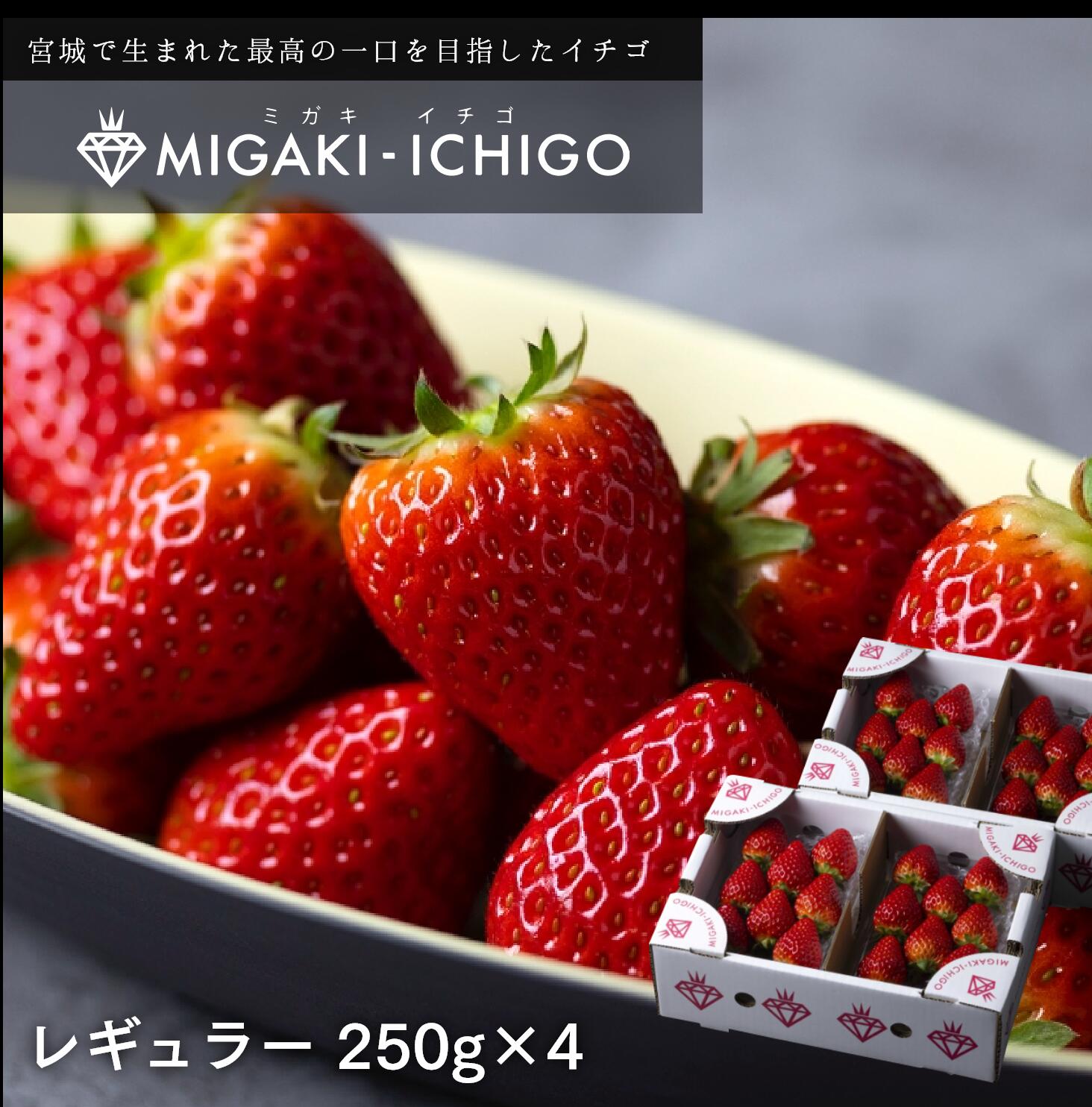 母の日ギフト 贈り物 いちご ミガキイチゴ 宮城県産 レギュラーパック 4パック(約250g×4) 粒数おまかせ 送料無料