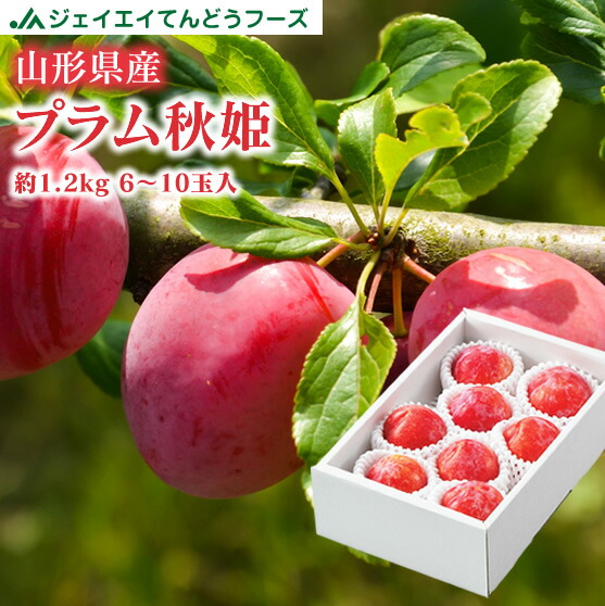 新鮮プラム5キロ 新鮮プラム5キロ 楽天市場】5kg（プラム｜フルーツ・果物