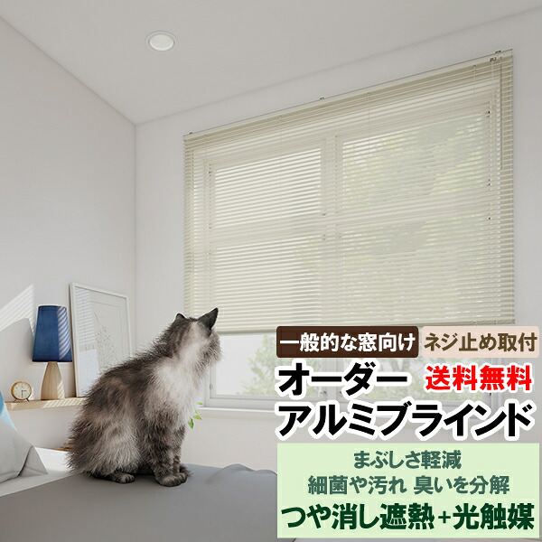 ◆◆貨物輸送無料 日おおい 購入注文 軽銀日おおい 標準尺度手合い 超無光沢入眼でまぶしさ助け出す 光触媒差しひびきではい芽や汚れた状態、悪臭いを腐蝕 遮熱スラットで省エネ 立川機工毛皮高座 FIRSTAGE 【同梱不可商いもの】