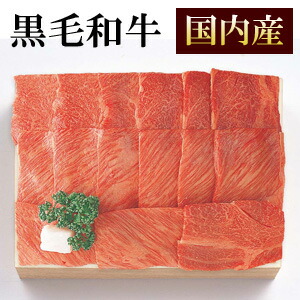 【TY-100B】 国内産 黒毛和牛 焼肉 肩ロ-ス510g 【送料無料（ただし沖縄県・北海道は別途送料がかかります）】 内祝 御祝 御礼 誕生日 記念日 お返し