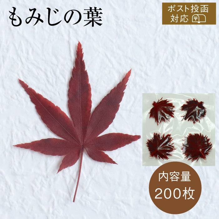 楽天市場】もみじ [50枚 ポスト投函可] 紅葉 もみじの葉 料理