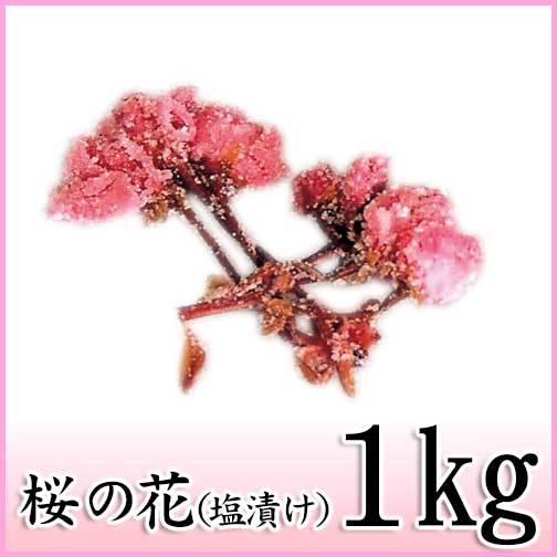 楽天市場 葉 花 桜の花 和食材料処 天極堂プロ