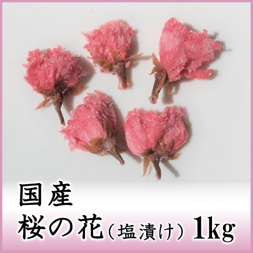 国産桜の花一輪 塩漬 1kg 天極堂 和菓子 和食 1コのみネコポス便可 Umu Ac Ug