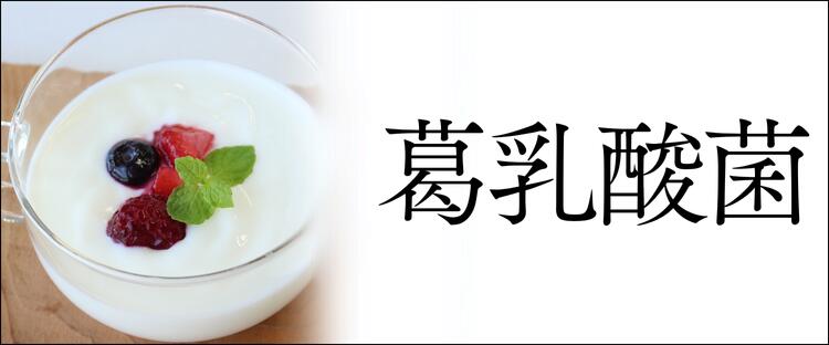 楽天市場】青朴葉 [20枚] 真空パック 朴葉寿司 朴葉味噌 朴葉みそ 敷き