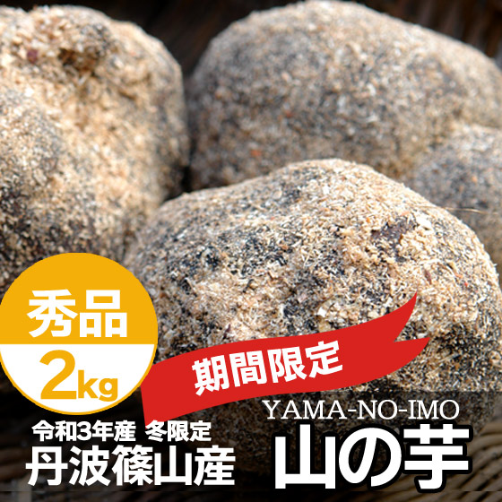 丹波 丹波篠山産 山の芋 秀品 2kg 箱入 冬限定 今期新物