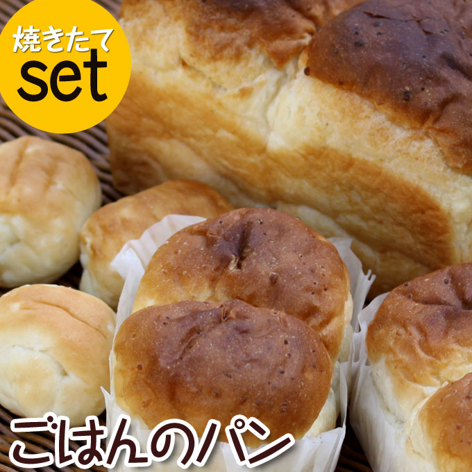 無農薬コウノトリ米 炊飯米 おいしい食パン ケーキ レシピ ポイント消化 ベーカリー