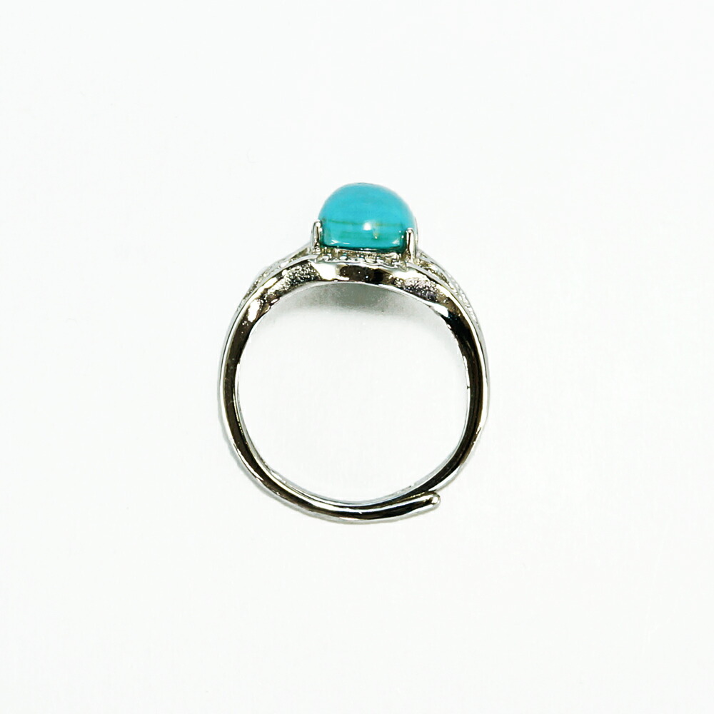 予算 表向き 航海の 指輪 サイズ 中国 電気的 歯痛 と組む