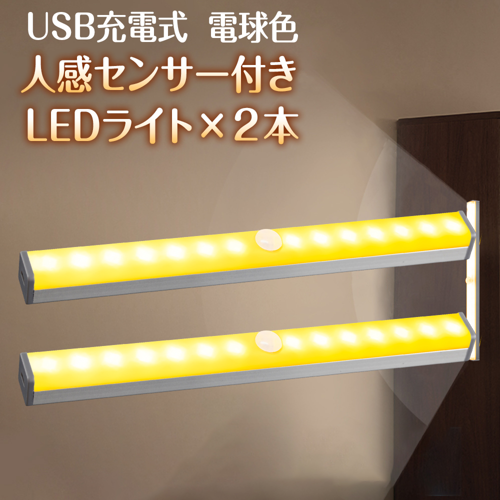 お得クーポン発行中 USB給電 LEDペンライト 懐中電灯 LED ペンライト USB 充電タイプ 災害時 アウトドア メール便 送料無料  ccps.sn