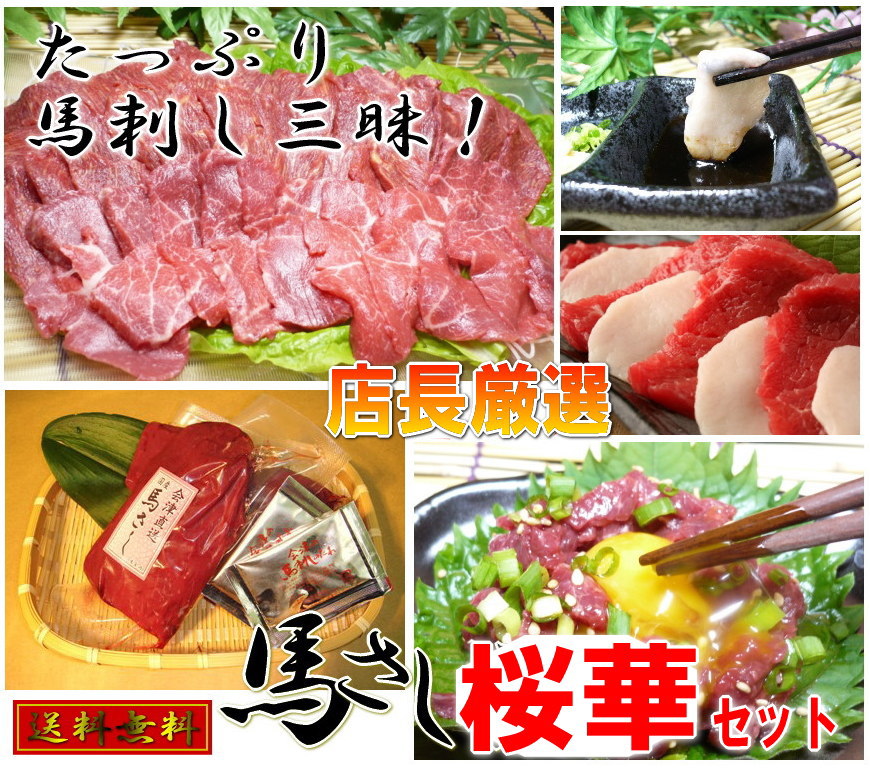日本メーカー新品 安いそれに目立つ 送料無料 店長オススメ馬刺しセット桜華 おうか 楽ギフ_のし あす楽対応