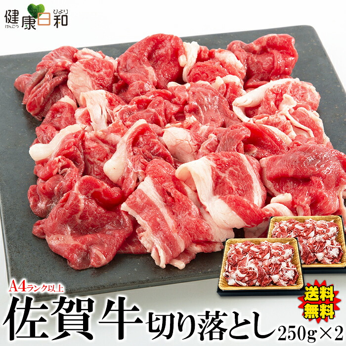 【送料無料】佐賀牛 A4ランク以上 切り落とし 500g 小分け 佐賀県 | バラ もも 肩 牛肉 ブランド牛 佐賀牛 霜降り 黒毛和牛 和牛 A4 赤身 お肉 食品 牛 肉じゃが 炒め物 グルメ お取り寄せ 贈答 父の日 母の日 お徳用 得用 大容量 冷凍 お祝い 業務用 BBQ アウトドア