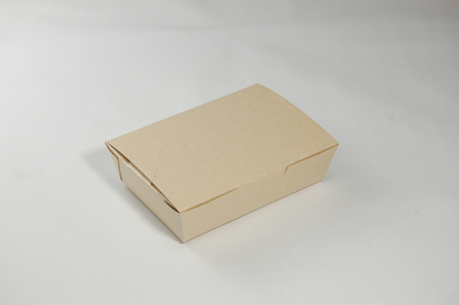 貨物輸送無料 50枚容器に並べる 手工芸品BOX L 紙 使い捨て 弁当 サラダ菜 真砂 今めかしい エコ お役目用 持ち帰り 範囲相応う  耐水・耐油 かんたん鍵を掛ける式 押し並べて型 積み重ね能力のある