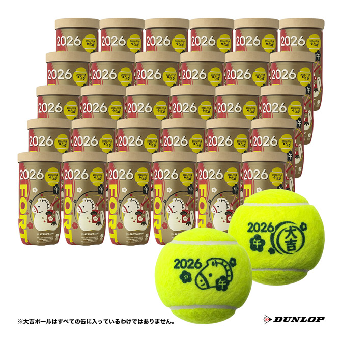 楽天市場】DUNLOP フォート 干支ボール(2025年巳） FORT 2球缶 初打ち