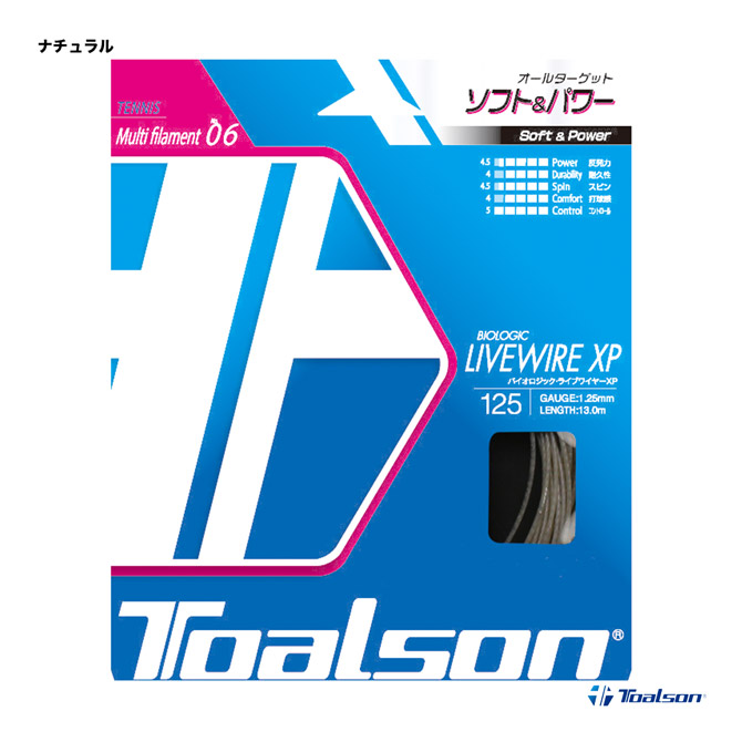 HOLTON トリプルケー(レア美品) Holts カラータッチ T－15 トヨタ 062 MH4506